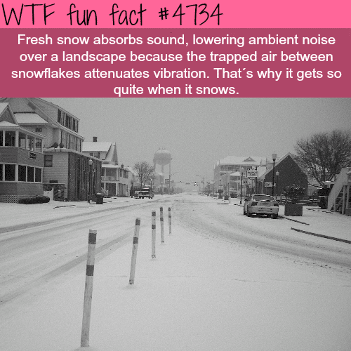 Why it gets quite when it snows - WTF fun facts