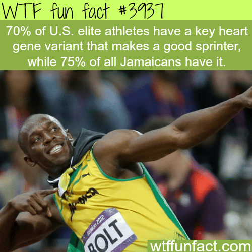 Why Jamaicans are so fast - WTF fun facts 