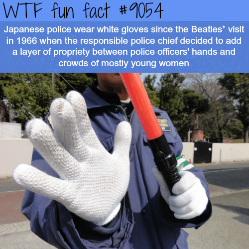 Why Japanese Police Wear White Gloves - WTF fun facts