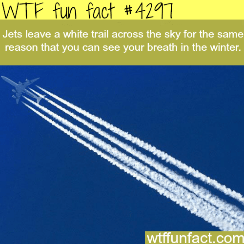 Why jets leave a white trail across the sky -  WTF fun facts