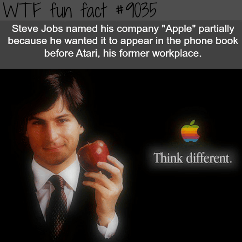 Why Jobs chose the name Apple for his company - WTF fun facts