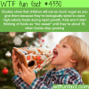 why kids like sweets wtf fun facts