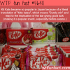 why kit kats are so popular in japan wtf fun