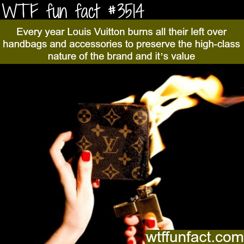 Louis Vuitton Unknown Facts, Most Interesting Facts