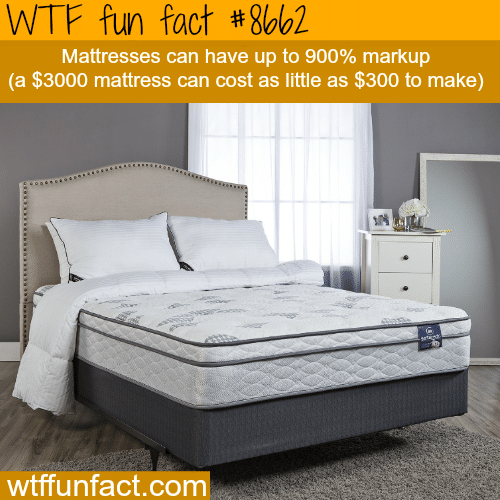 Why mattresses cost so much money - WTF fun facts