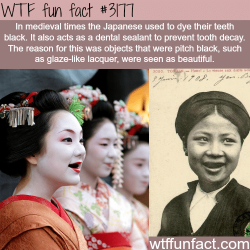 Why medieval Japanese people dye their teeth black -  WTF fun facts