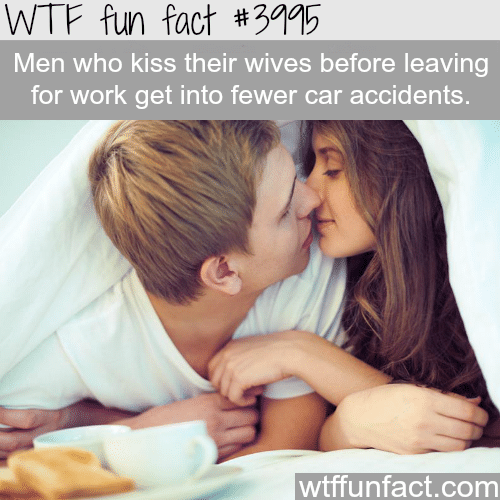 Why men should kiss their wives before leaving to work - WTF fun facts