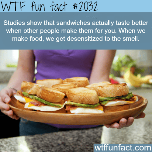 Why most people don’t like the food the make - WTF fun facts