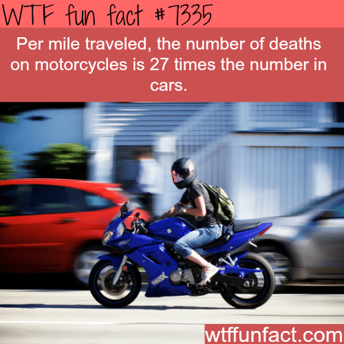 Why motorcycles can be very dangerous - WTF fun facts
