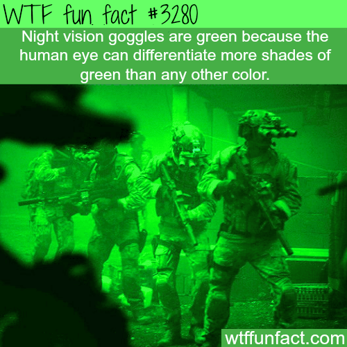 Why night vision goggles are green? -  WTF fun facts