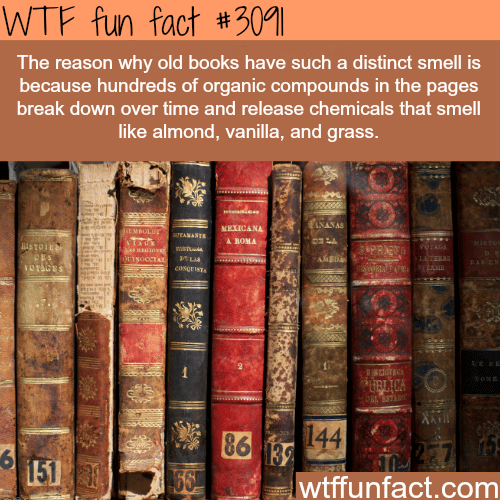 Why old book smell the way they are -  WTF fun facts