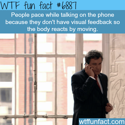 Why people pace while talking on the phone - WTF fun facts