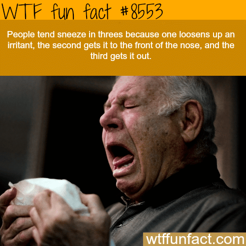 Why people tend to sneeze in threes - WTF fun facts