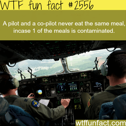 Why pilot and a co-pilot never eat the same meal - WTF fun facts