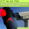 why red light cameras should be removed wtf fun