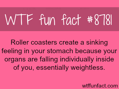 Why roller coasters create a sinking feeling - WTF fun facts