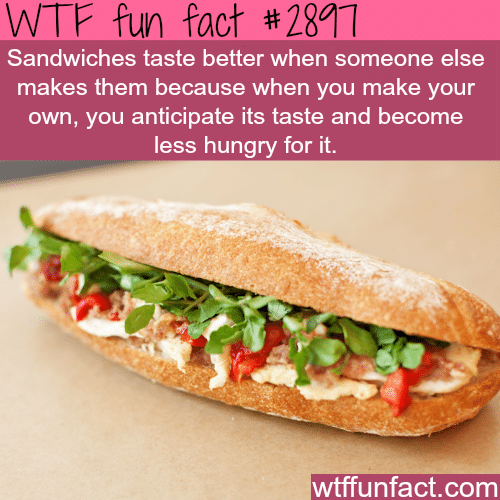 Why sandwiches taste bad when you make them -  WTF fun facts