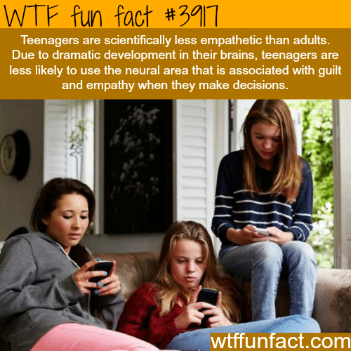 Why teenagers are mean and less empathetic - WTF fun facts 
