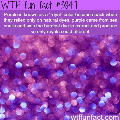 Why the color purple is knowing as “Royal"  - WTF fun facts 