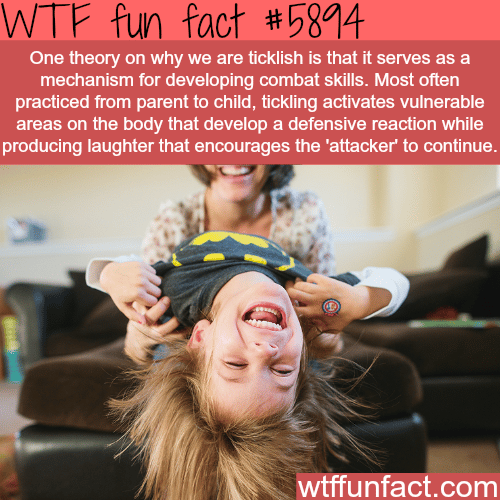 Why we are ticklish - WTF fun facts