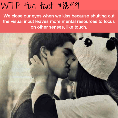 Why we close our eyes when we kiss - WTF fun facts