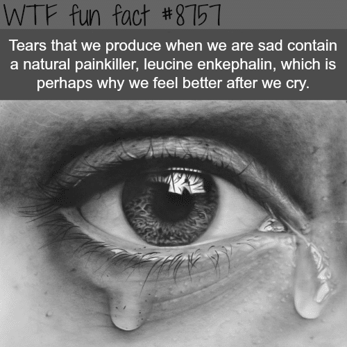 Why we feel better after we cry - WTF fun facts
