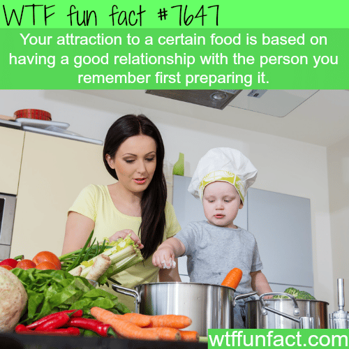 Why we like certain food - WTF fun facts 