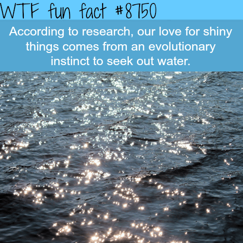 Why we like shiny things - WTF fun facts