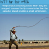 why whips make a cracking sound wtf fun fact