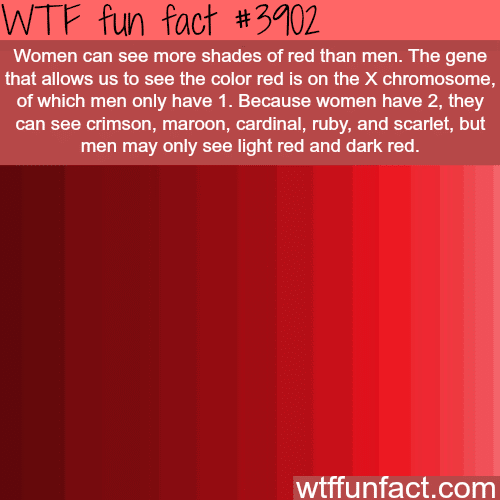 Why women see more shades of red - WTF fun facts