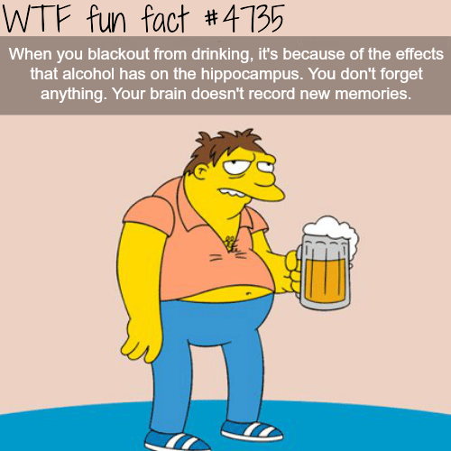 Why you don’t remember anything when drunk - WTF fun facts