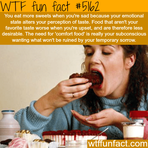 Why you eat sweets when you feel sad - WTF fun facts