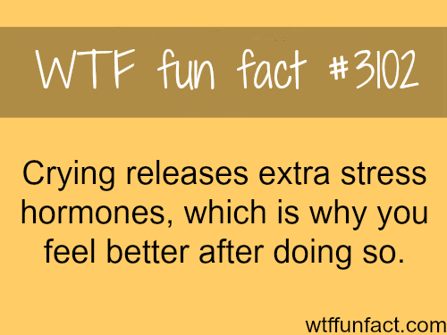 Why you feel better after crying -  WTF fun facts
