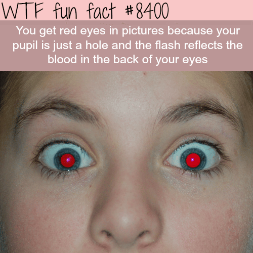 Why you get red eyes in pictures - WTF fun facts