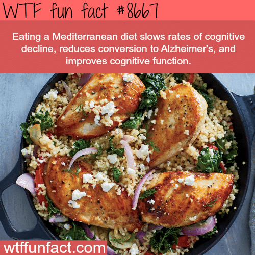Why you should eat a Mediterranean diet - WTF fun facts