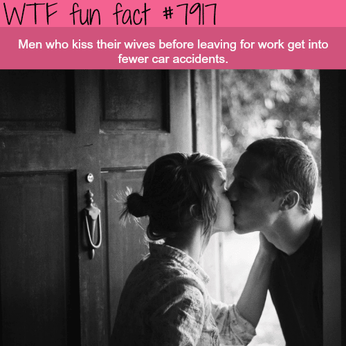 Why you should kiss your wife before going to work - WTF fun facts