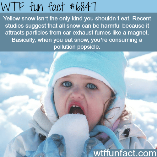 Why you should not eat snow - WTF fun fact