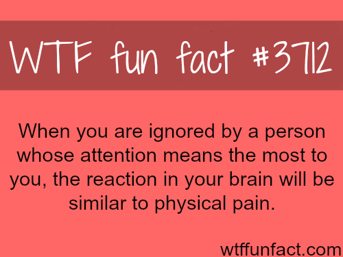 Why you should not ignore people who are close to you -  WTF fun facts