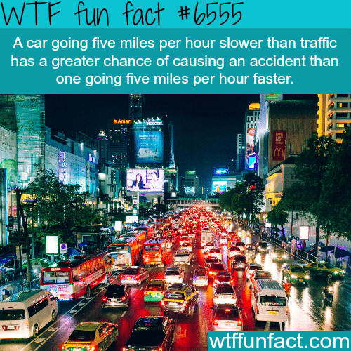 Why you shouldn’t drive slower than traffic - WTF fun facts
