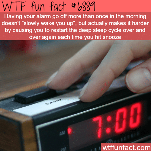 Why you shouldn’t hit snooze - WTF fun fact