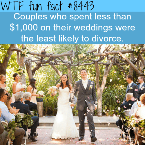 Why you shouldn’t spend a lot of money on your wedding - WTF fun facts