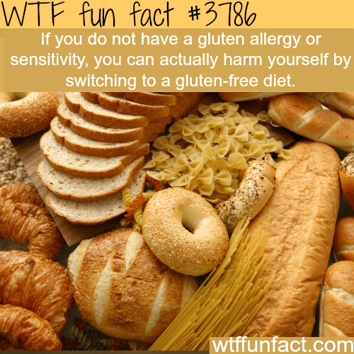 Why you shouldn’t switch to gluten-free diet - WTF fun facts