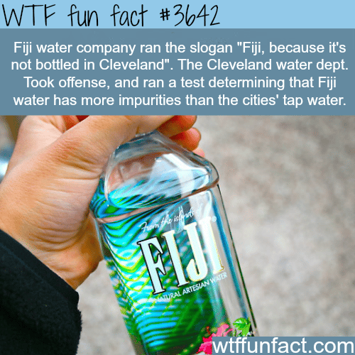 Why you shouldn’t waste your money on Fiji water  -  WTF fun facts