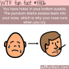 why your nose runs when you cry wtf fun facts