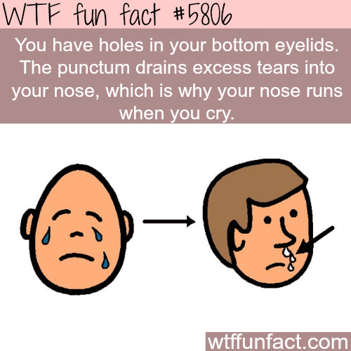 Why your nose runs when you cry - WTF fun facts