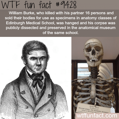 William Burke - WTF fun fact