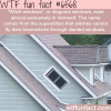 witch windows wtf fun facts
