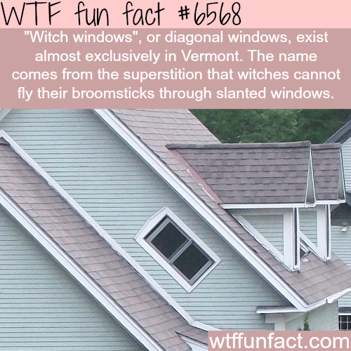 Witch windows - WTF fun facts