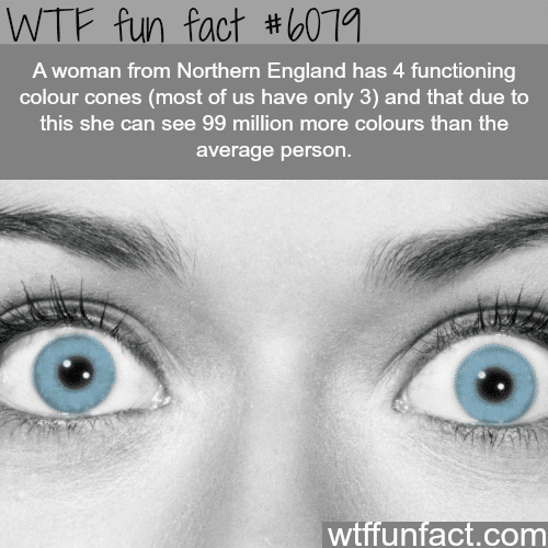 Woman from Northern England can see 99 million more colors - WTF fun facts