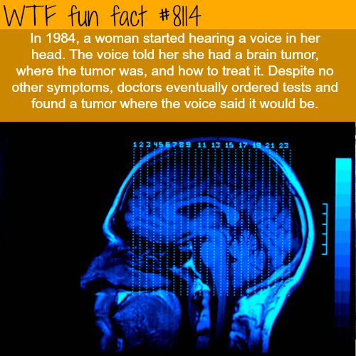 Woman hears a voice in her head… - WTF fun facts